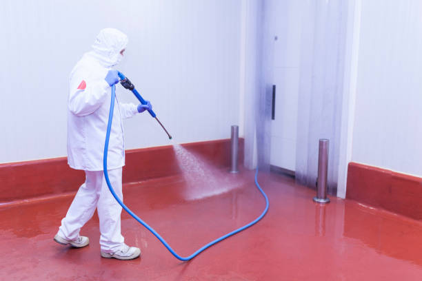 Reliable Silver Firs, WA Pressure Washing Solutions